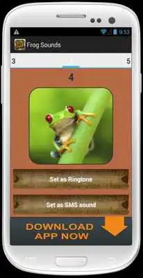 Play Frog Sound Collection