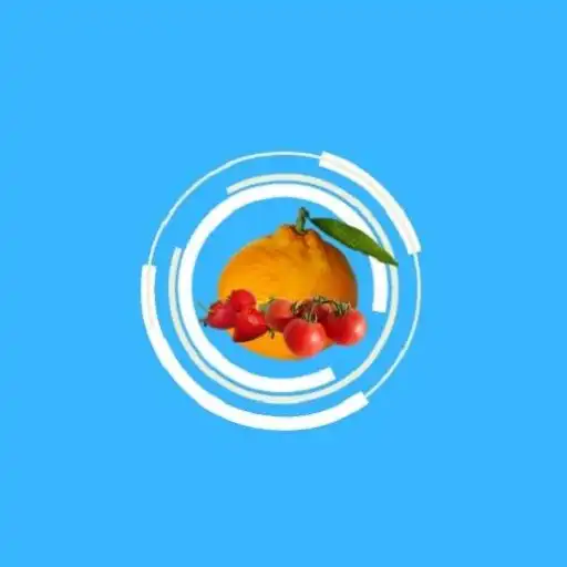 Play Fruits  Vegetables Detector APK