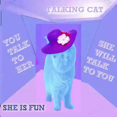 Play Fun Cat Talks