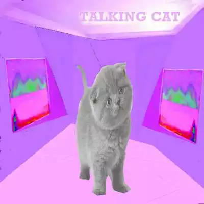 Play Fun Cat Talks