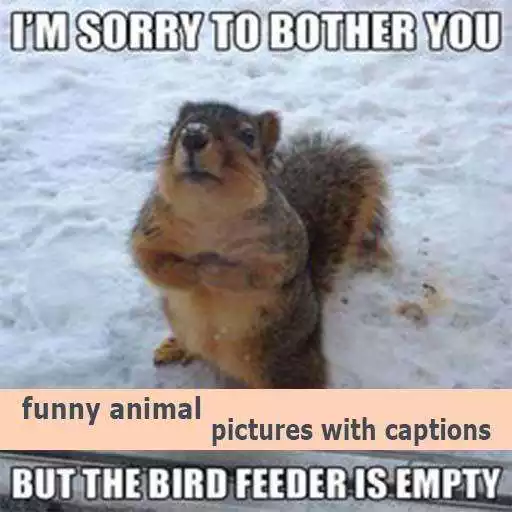 Run free android online funny animal pictures with captions APK