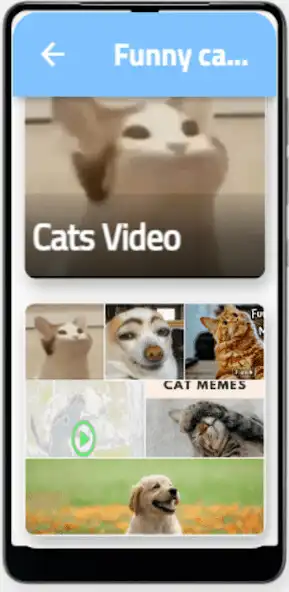 Play Funny Cat  Dog videos  and enjoy Funny Cat  Dog videos with UptoPlay