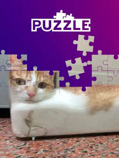 Play Funny cats tile puzzle  and enjoy Funny cats tile puzzle with UptoPlay