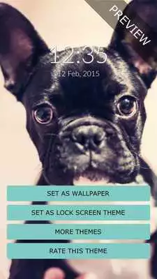 Play Funny Dogs Wall  Lock