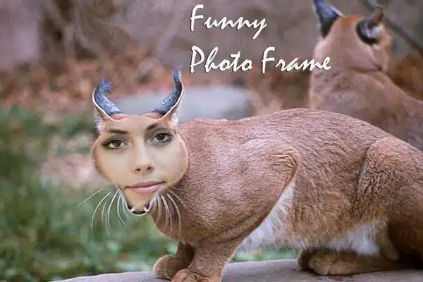 Play Funny Photo Frame as an online game Funny Photo Frame with UptoPlay