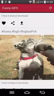 Play Funny Random Gifs