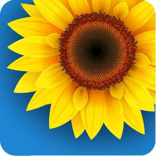 Play Gallery Download Pro APK