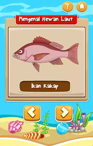 Play Game Anak Edukasi Hewan Laut