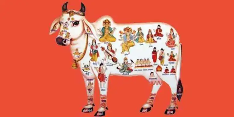 Play Gau Dham Mobile App- "Gau Mata Rastra Mata"