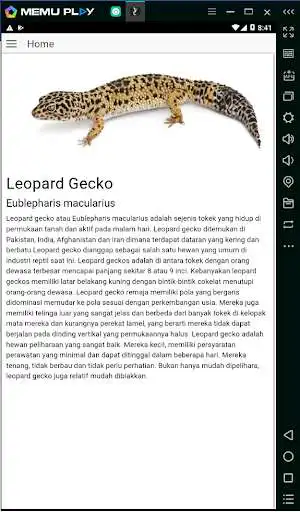 Play Gecko