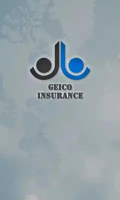 Play Geico Insurance