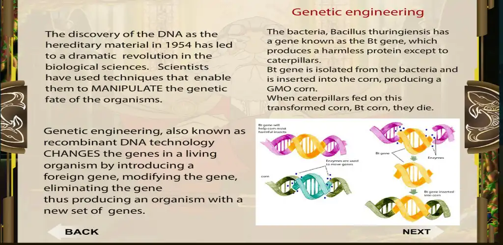 Play Gene Technology  and enjoy Gene Technology with UptoPlay