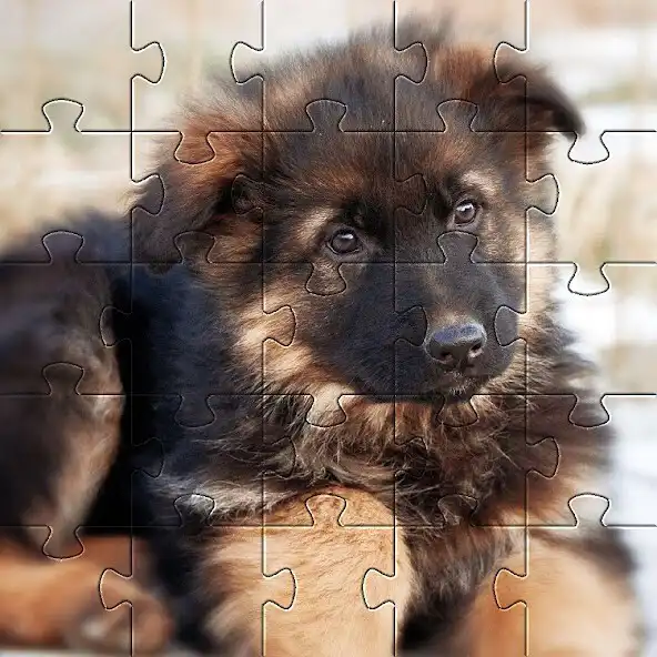 Play German Shepard Puzzles  Games as an online game German Shepard Puzzles  Games with UptoPlay