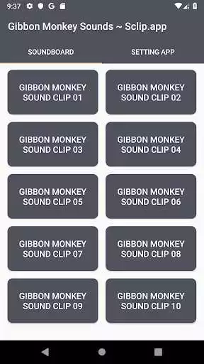 Play Gibbon Monkey Sound Collections ~ Sclip.app  and enjoy Gibbon Monkey Sound Collections ~ Sclip.app with UptoPlay