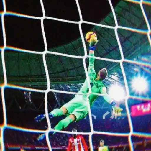 Play Goalkeeper Wallpaper HD 4K APK