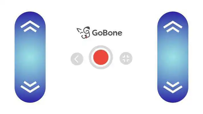 Play GoBone