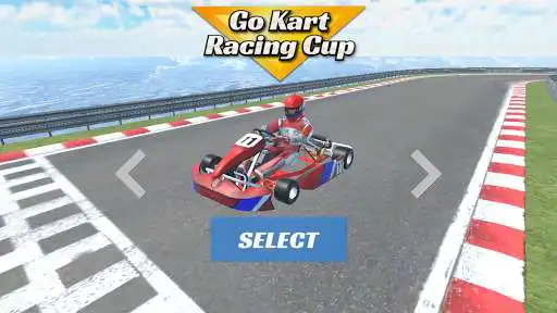 Play Go Kart Racing Cup 3D