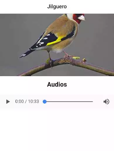 Play goldfinch  and enjoy goldfinch with UptoPlay