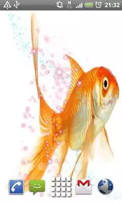 Play Gold Fish Live Wallpaper