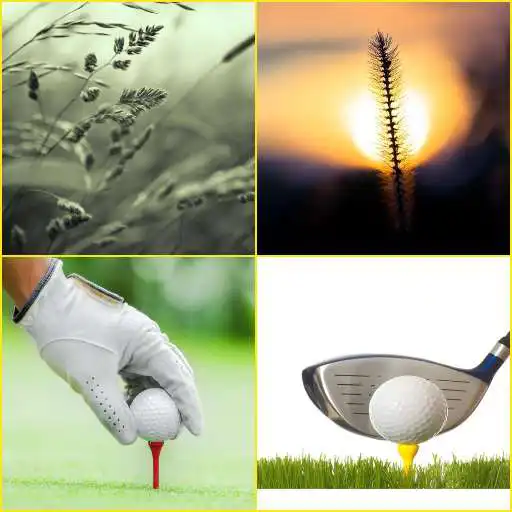 Play Golf, Grass Wallpapers APK