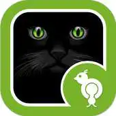 Free play online Go Locker Black Kitty APK