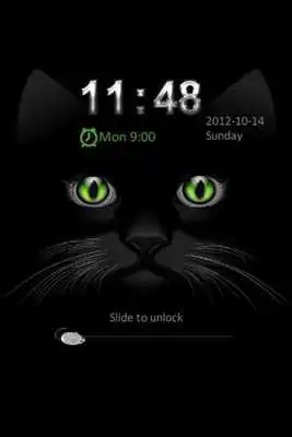 Play Go Locker Black Kitty