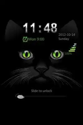 Play Go Locker Black Kitty