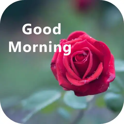 Play good morning rose APK