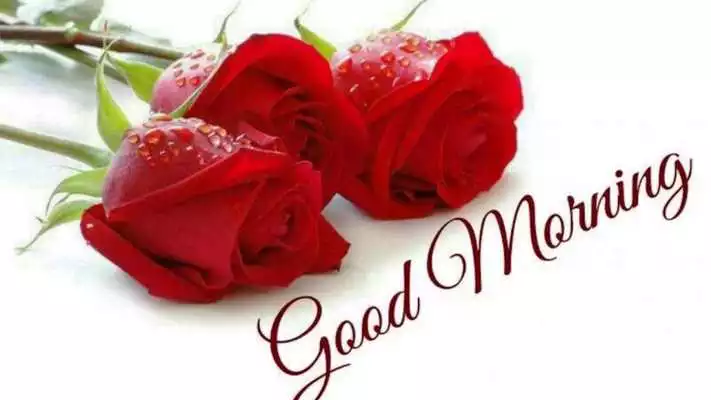 Play good morning rose images  and enjoy good morning rose images with UptoPlay