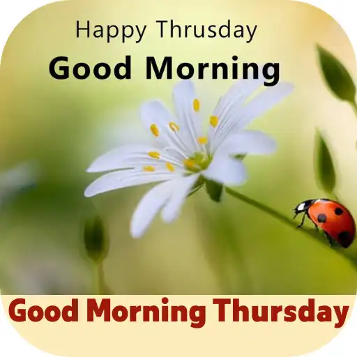 Play good morning thursday APK