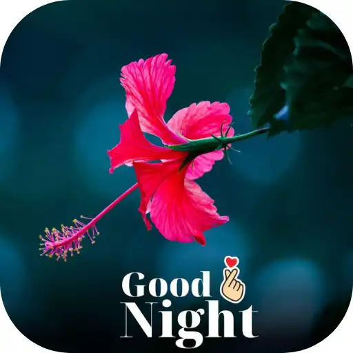 Play good night flowers images APK