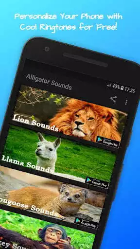 Play Gorilla Sounds  and enjoy Gorilla Sounds with UptoPlay