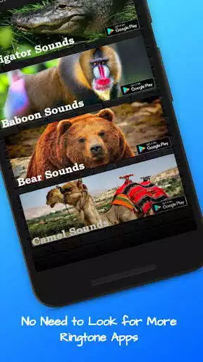 Play Gorilla Sounds as an online game Gorilla Sounds with UptoPlay