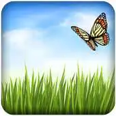 Free play online Grass Background Wallpaper APK