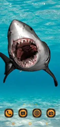 Play Great White Shark Live Wallpaer  and enjoy Great White Shark Live Wallpaer with UptoPlay