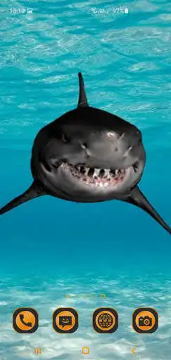 Play Great White Shark Live Wallpaer as an online game Great White Shark Live Wallpaer with UptoPlay