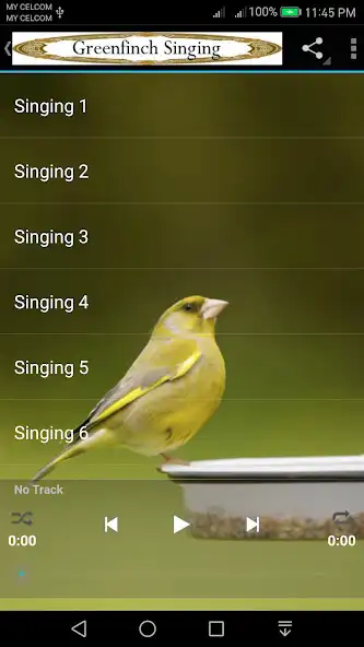 Play GreenFinch Singing as an online game GreenFinch Singing with UptoPlay