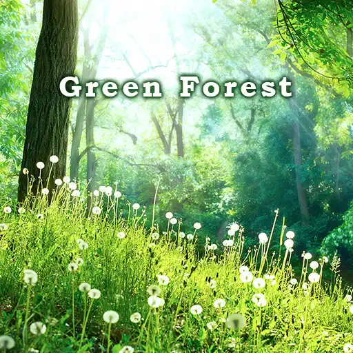 Play Green Forest Theme APK