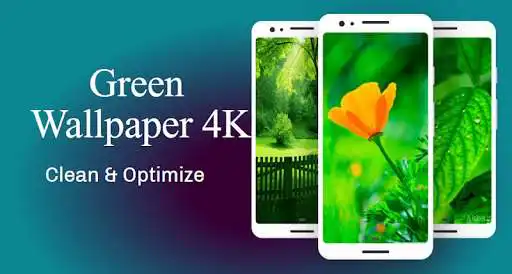 Play Green Wallpaper 4K, Green Shades background  and enjoy Green Wallpaper 4K, Green Shades background with UptoPlay