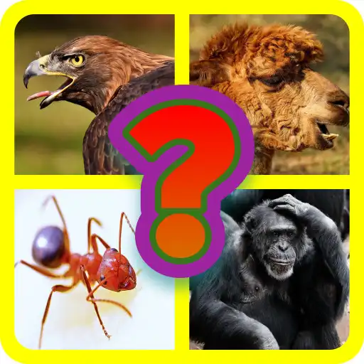 Play Guess and Learn Animals Quiz APK