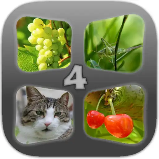 Free play online Guess the 4 Pics In 1 Word APK