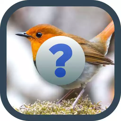 Play Guess The Birds Name APK