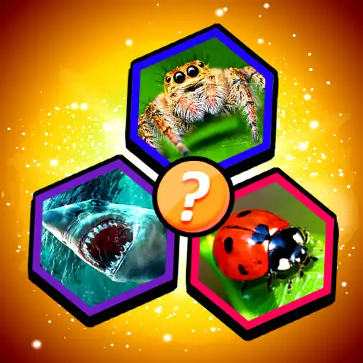 Play Guess the Word-Photo & Picture APK