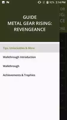 Play Guide for Metal Gear Rising: Revengeance