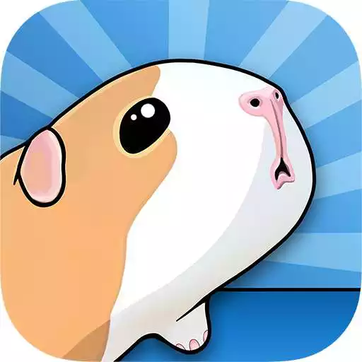 Free play online Guinea Pig Bridge! APK