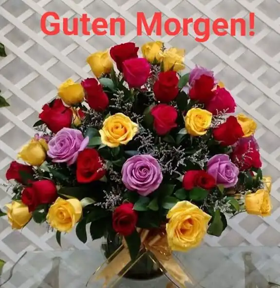 Play Guten Morgen Bilder  and enjoy Guten Morgen Bilder with UptoPlay