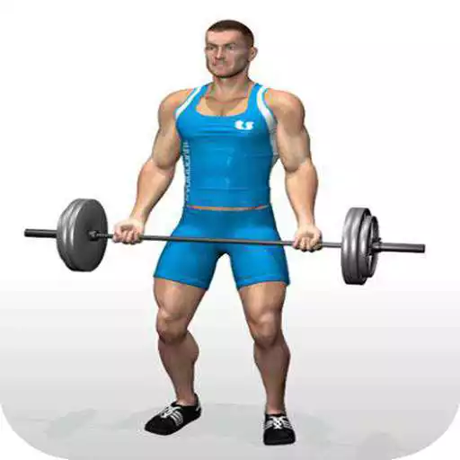 Run free android online Gym Program APK