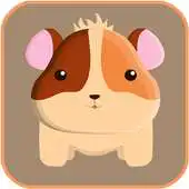 Free play online Hamster Life Wallpapers APK