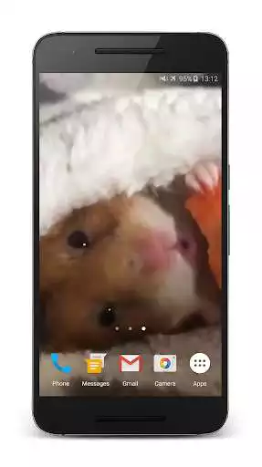 Play Hamster Live Wallpaper  and enjoy Hamster Live Wallpaper with UptoPlay