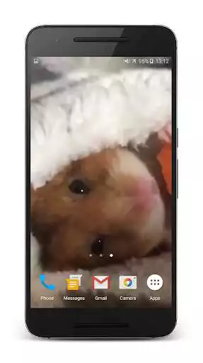 Play Hamster Live Wallpaper as an online game Hamster Live Wallpaper with UptoPlay